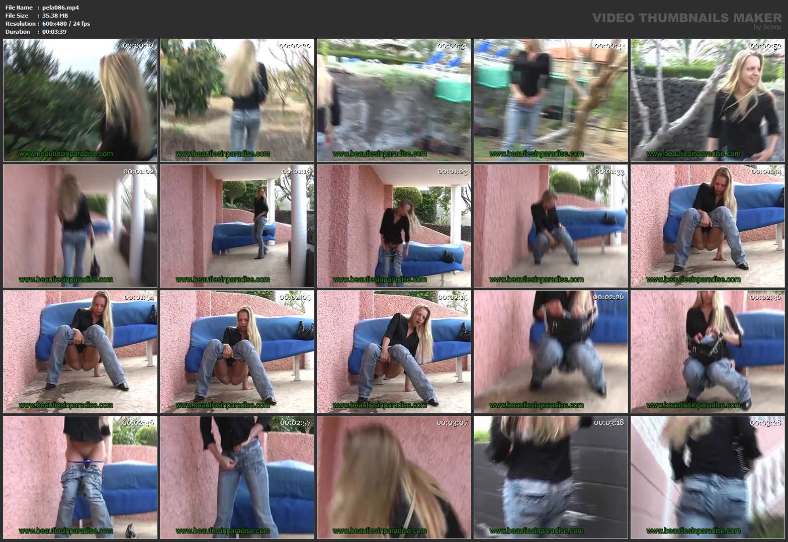 [PEEING-LADIES] Pissing After Meals [SD][480p][MP4]