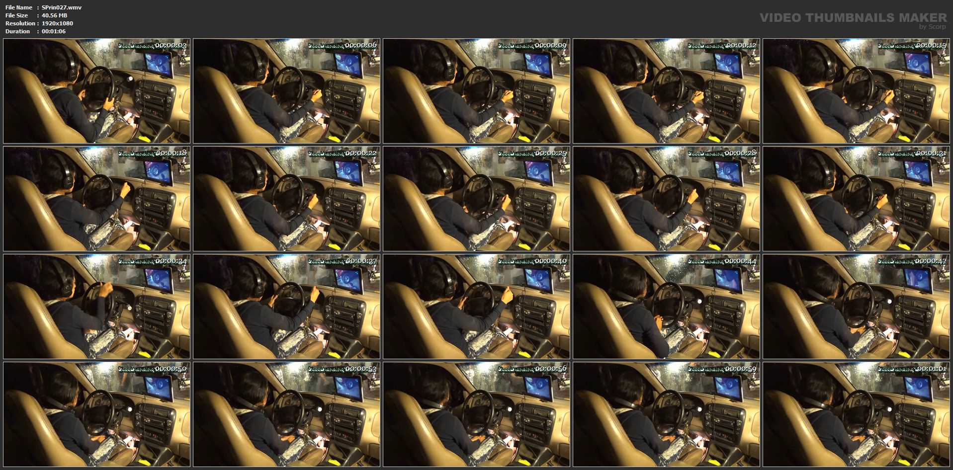 [SCAT-PRINCESS] Anita wheeling on his Hand from the Inside [FULL HD][1080p][WMV]